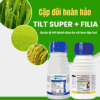 Tilt Super và Filia cặp đôi hoàn hảo phòng trừ bệnh hiệu quả bệnh đạo ôn và lem lép hạt
