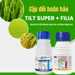 Tilt Super và Filia cặp đôi hoàn hảo phòng trừ bệnh hiệu quả bệnh đạo ôn và lem lép hạt